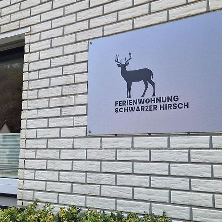 Ferienwohnung Schwarzer Hirsch Wieda Eksteriør billede